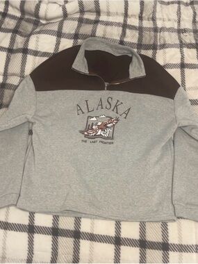 & Other Stories Gray and Dark Brown Zip-Up Sweater with Alaska Graphic